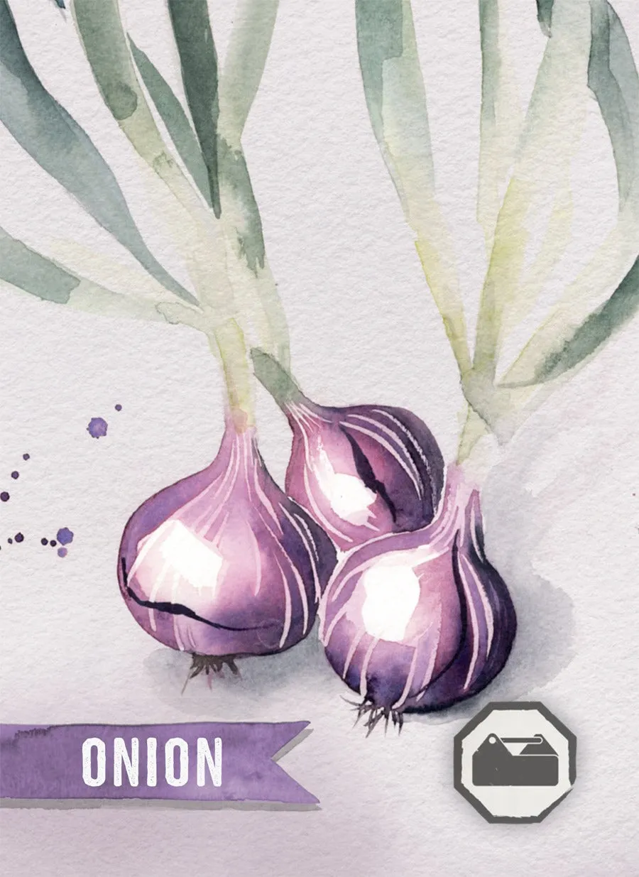 Delicious: Gardening Card Game PFX 1500