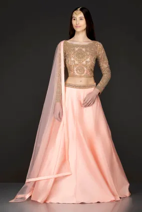Peach Silk Skirt And Gold Net Top With Stone And Kathdana Embroidery Peach Silk Skirt And Gold Net Top With Stone And Kathdana Embroidery